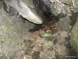rderia-18-11-2012 12-02-07